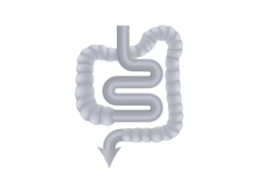 source-of-fibre