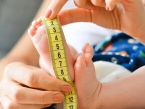 HMO en leche materna