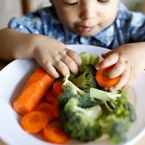 Alimentación saludable para niños de 12 a 24 meses Niño pequeño con un plato de trozos de zanahorias y brócoli cocidos, agarrando verduras con las manos.