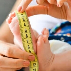 HMO en leche materna