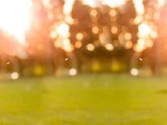 Calculadora de Alergias