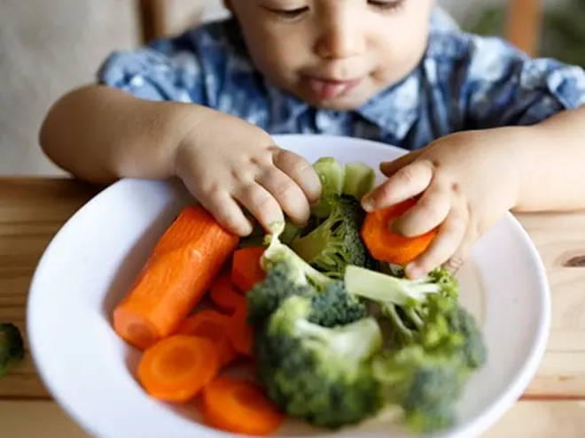 Alimentación saludable para niños de 12 a 24 meses Niño pequeño con un plato de trozos de zanahorias y brócoli cocidos, agarrando verduras con las manos.