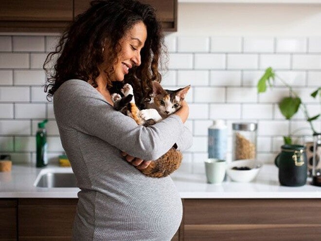 Toxoplasmosis en el embarazo: causas y cuidados Conoce con Baby and Me qué es la toxoplasmosis en el embarazo, qué debes hacer para cuidarte y qué puede causarla.