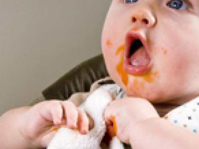 ¡Le enseño el gusto y los sabores! ¡Le enseño el gusto y los sabores!