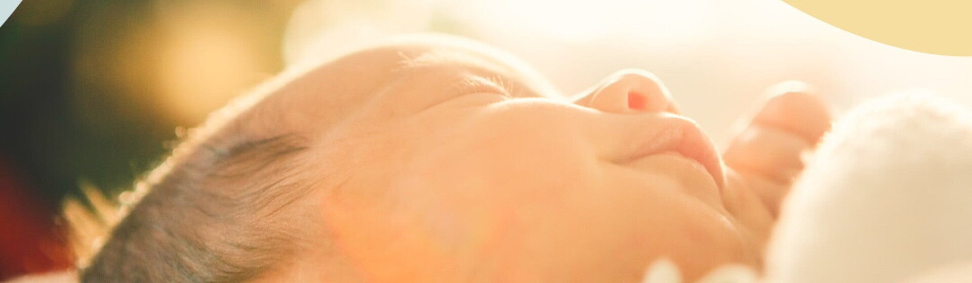 0 a 4-meses header banner 0 a 4-meses header banner
