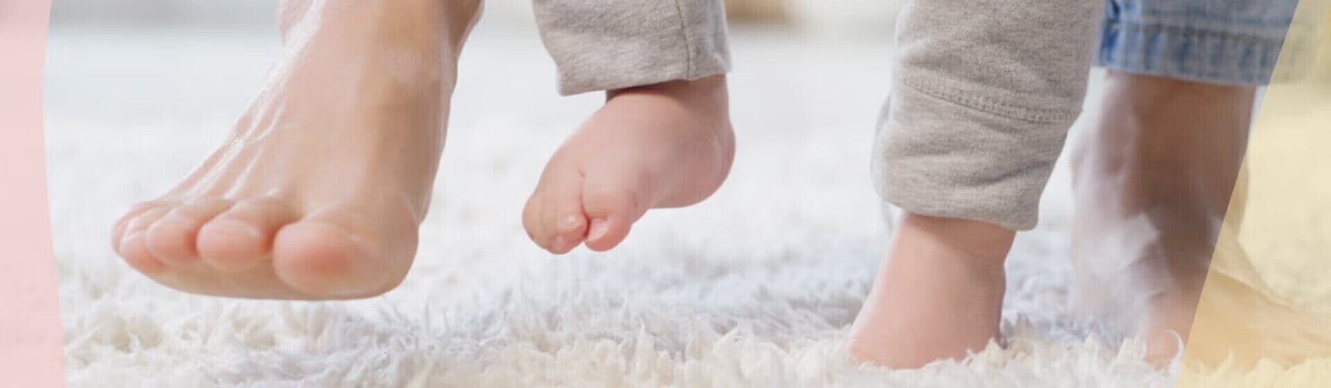 12-24 meses 12-24 meses