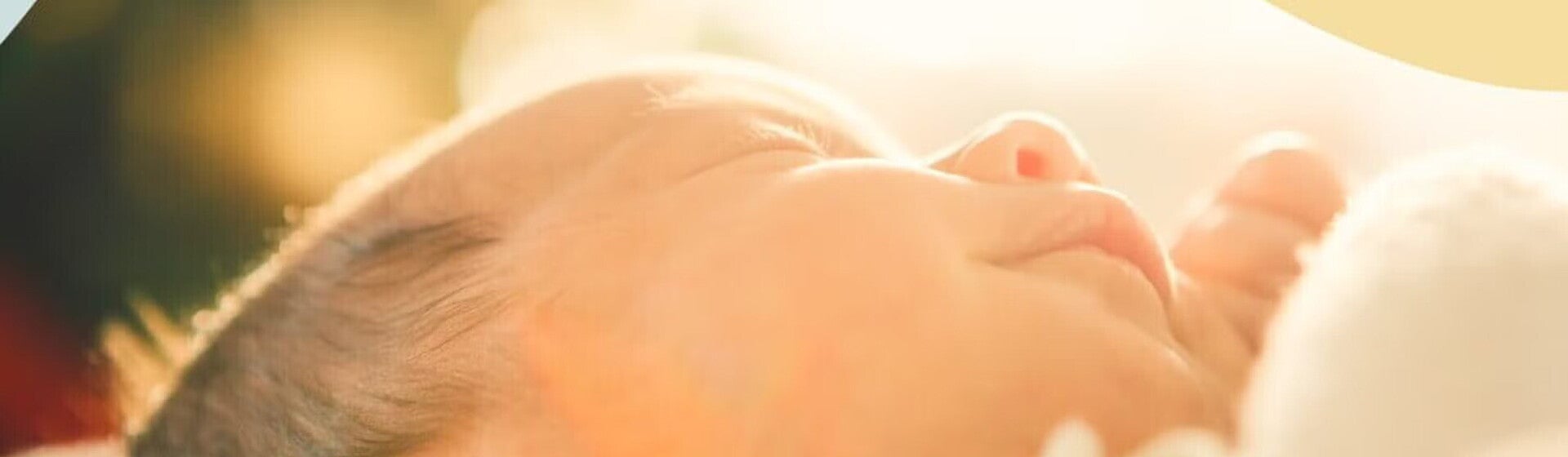 Banner 0 a 4 meses Banner 0 a 4 meses