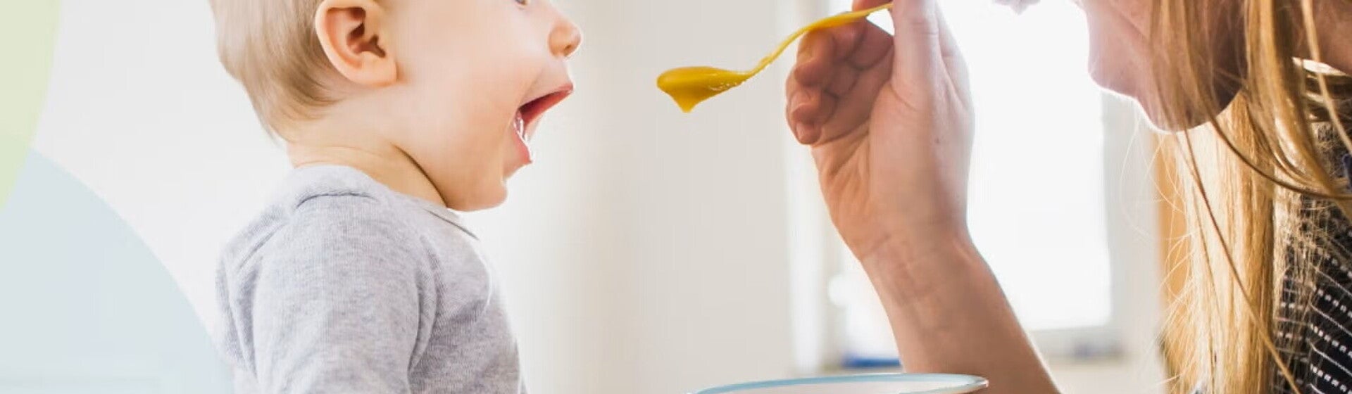 8 a 12 meses 8 a 12 meses